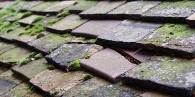 Pant roof repair costs